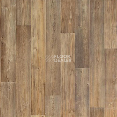 Линолеум Tarkett Sprint Pro Toronto 1 фото 1 | FLOORDEALER